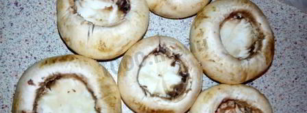 фаршированные шляпки шампиньончиков. Шаг 4