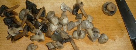 грибы по-корейски. Шаг 13