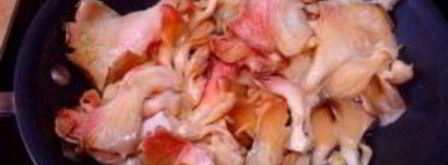 грибы под соусом бешамель. Шаг 3