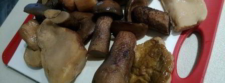 рибай, грибы, картошка — праздник. Шаг 5