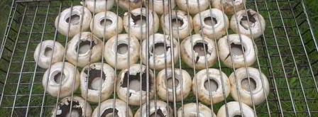 шампиньоны на мангале. Шаг 3