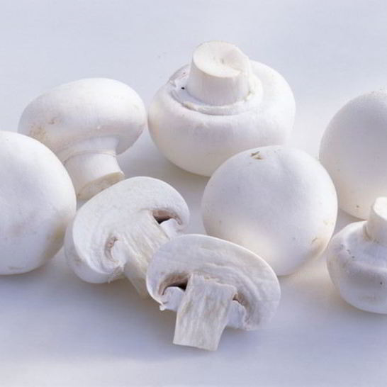 Рецепт шампиньонов в сливочном соусе