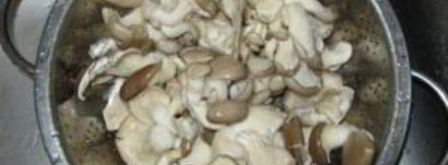 вешенки жареные. Шаг 2