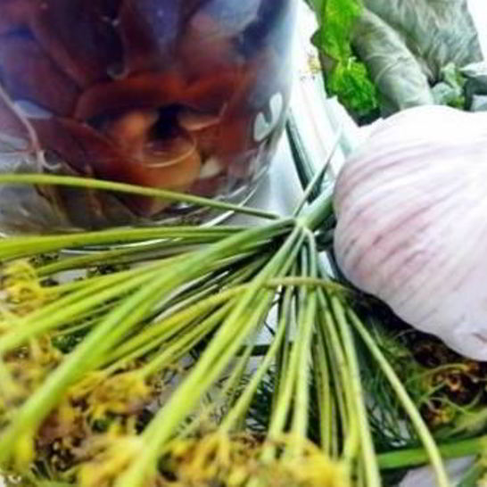 Рецепт волнушек в маринаде