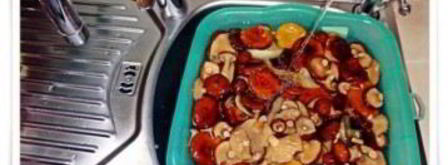 волнушки в маринаде. Шаг 2