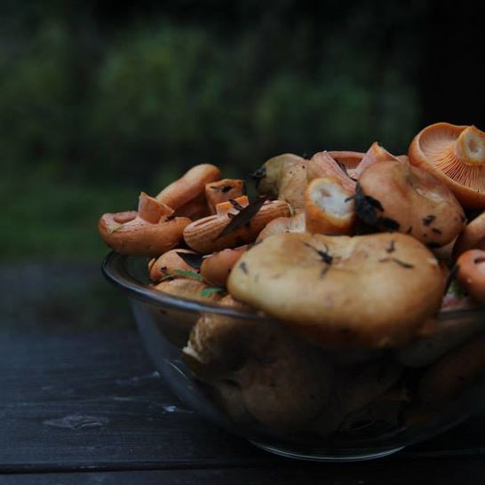 Рецепт жареных рыжиков