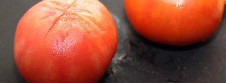 гуляш из свинины с помидорами. Шаг 5