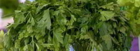 диетические куриные котлеты на пару. Шаг 5