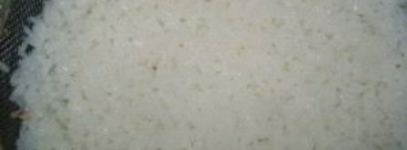 котлеты из печени в духовке. Шаг 2