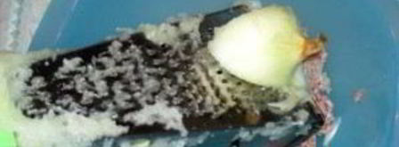 котлеты курино-свиные. Шаг 3