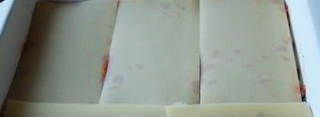 лазанья с индейкой и шпинатом. Шаг 11