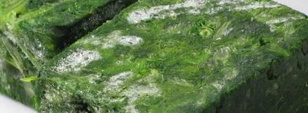 лазанья в рулетиках. Шаг 5