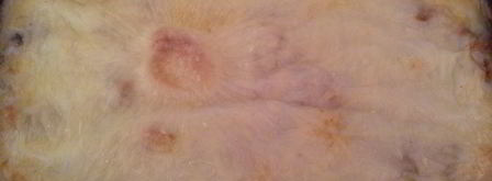 овощная лазанья по-итальянски. Шаг 8