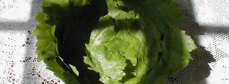 виноградная лазанья. Шаг 2