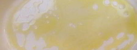 фаршированные конкильони с курицей. Шаг 6