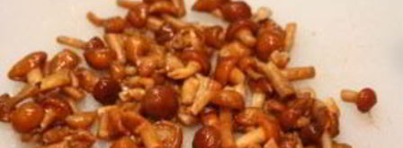 каннеллони с грибами. Шаг 4