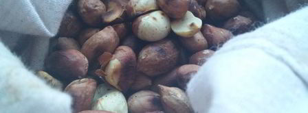 кунжутно-арахисовая паста. Шаг 3