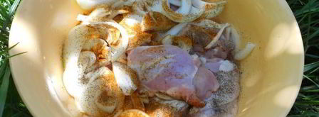 куриные бедрышки на костре в соево-медовом маринаде с лимоном и карри. Шаг 2