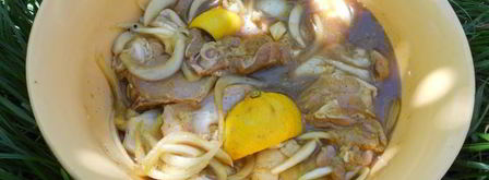 куриные бедрышки на костре в соево-медовом маринаде с лимоном и карри. Шаг 3