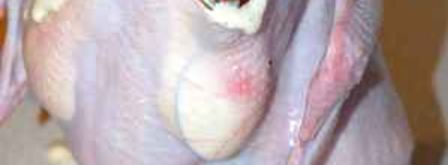 курица запеченная на банке. Шаг 11