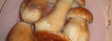 свинина с грибами. Шаг 17