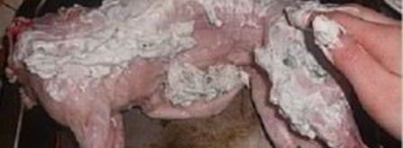 тушка кролика в духовке. Шаг 5