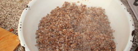 утка запеченная с гречкой. Шаг 12