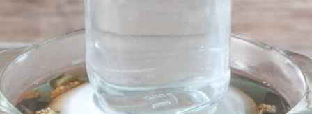 баклажаны соленые под гнетом. Шаг 7