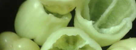 перец, фаршированный мясом и рисом. Шаг 3