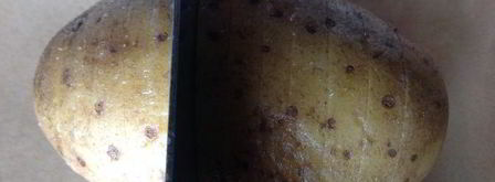 запеченный веерный картофель с салом. Шаг 3