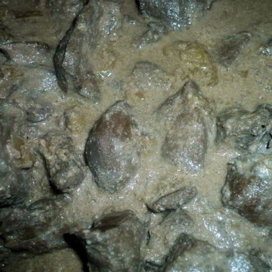 Рецепт говяжьей печени в сметане