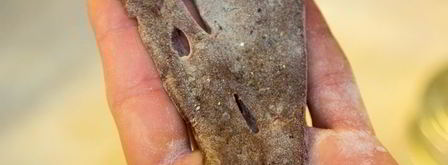 печень по-венециански. Шаг 7