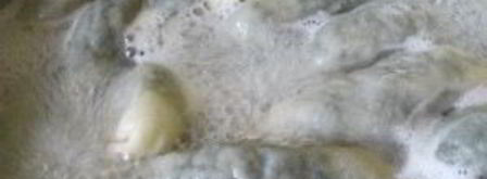 пельмени с крапивой. Шаг 6