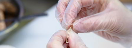 пельмени с лососем. Шаг 5