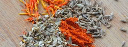 паэлья с кальмарами. Шаг 5