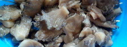 плов из перловки с вешенками. Шаг 3