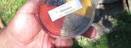 плов по-татарски на костре. Шаг 2