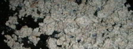 рагу из кабачков с фаршем. Шаг 2