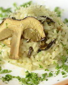 Ризотто с белыми грибами