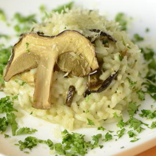 Рецепт ризотто с белыми грибами