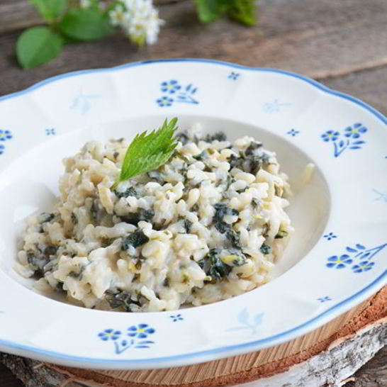 Рецепт ризотто с крапивой и козьим сыром