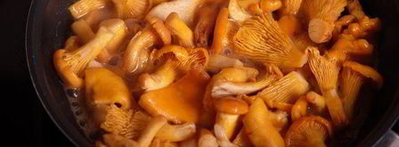 ризотто с лисичками. Шаг 9