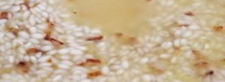 ризотто с вялеными помидорами. Шаг 3