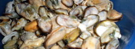 желтое ризотто с морепродуктами. Шаг 2