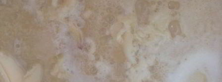 кальмары, фаршированные морепродуктами, под сливочным соусом. Шаг 4