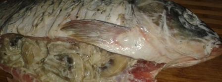 карп запеченный с грибами в сметане. Шаг 7