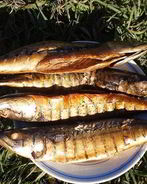 Копченая рыба на природе