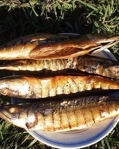 Копченая рыба на природе