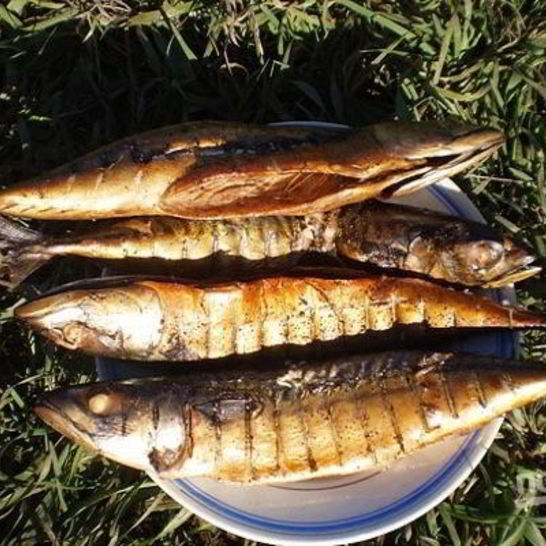 Рецепт копченой рыбы на природе