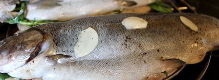 радужная форель с тархуном на гриле. Шаг 5